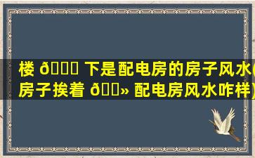 楼 🐒 下是配电房的房子风水(房子挨着 🌻 配电房风水咋样)